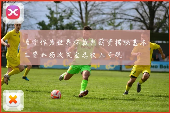 马宁作为世界杯裁判薪资揭秘基本工资加场次奖金总收入可观