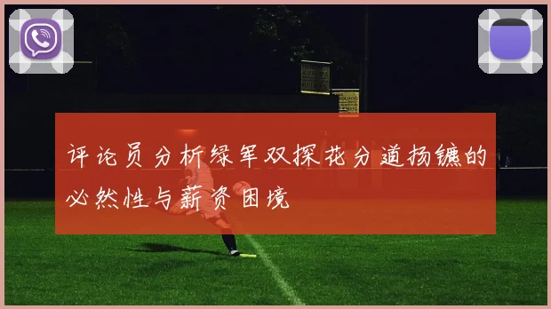 评论员分析绿军双探花分道扬镳的必然性与薪资困境