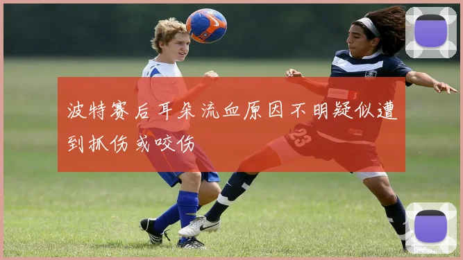 波特赛后耳朵流血原因不明疑似遭到抓伤或咬伤